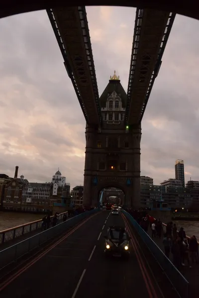 DSC_5662 (Large).JPG